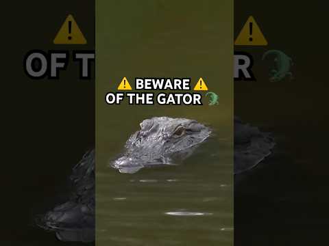 do NOT try this at home 😱