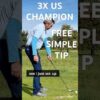Senior Champion offers fast improvement swinging on a single plane.