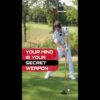 Stop Overthinking Your Golf Swing: Tilt, Arm Back, Square the Face