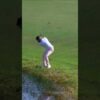 Birdie out of the WATER 🫨