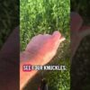 Weak or Strong Grip #golfgear #golf #golftips #golfinstruction