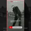 The Master Move: One Swing for Every Club – Todd Graves