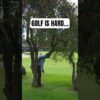 The 10th hole at Riviera is RUTHLESS