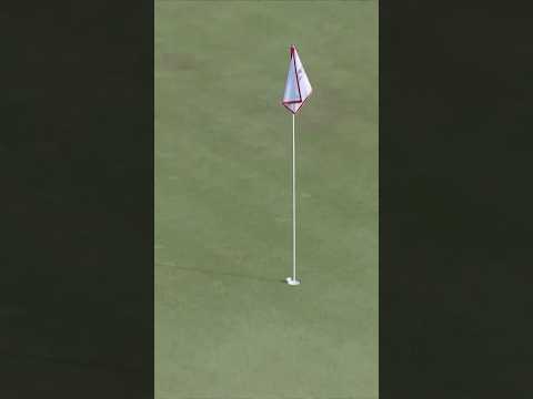 Assistπ€from the flagstick β³for par