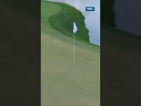 Inches from an ALBATROSS!π²