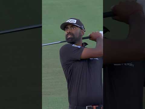 Nothing like a tap in eagle π¦