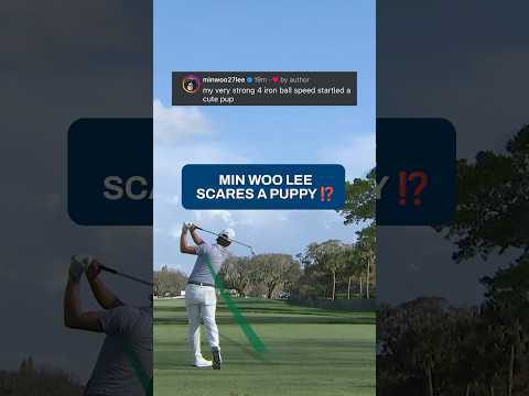 Min Woof Lee didn’t mean it π