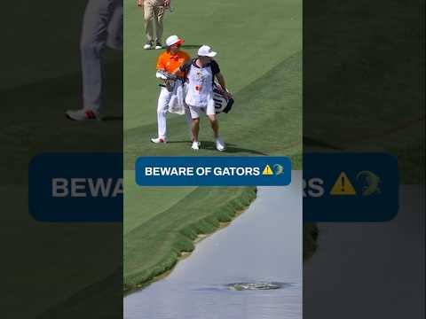 A typical day in Florida π