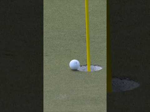 Homa hole-out finds a HOME 🏠👇