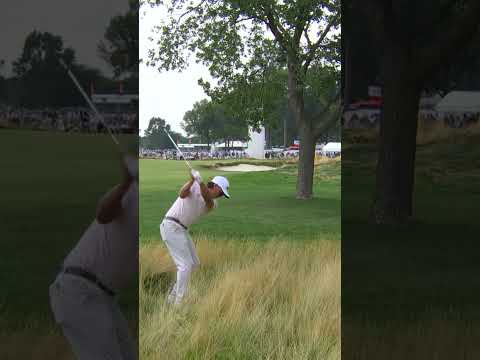 Stay OUT of the fescue 🛑