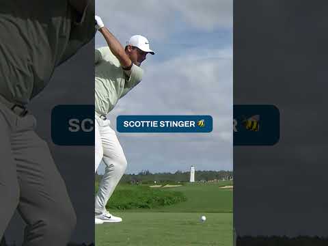 A thing of beauty from Scottie Scheffler ๐คฉ